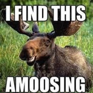 Meet your Posher, Ahmandi